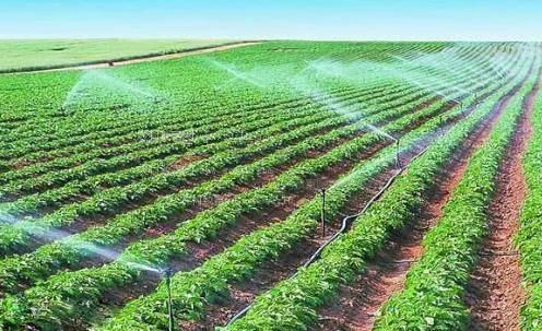 捅嫩逼91看片农田高 效节水灌溉